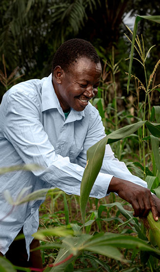 Persona